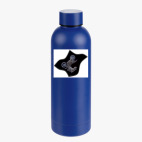 Термобутылка