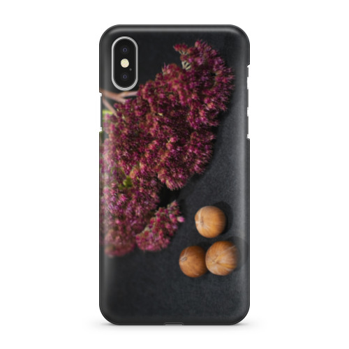 Чехол для iPhone X Лесной орех и цветы