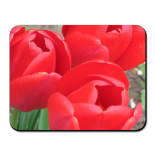 Коврик для мыши с принтом 'Тюльпаны'