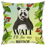 Подождите, я поправлю усы