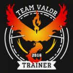 Покемоны. Team Valor