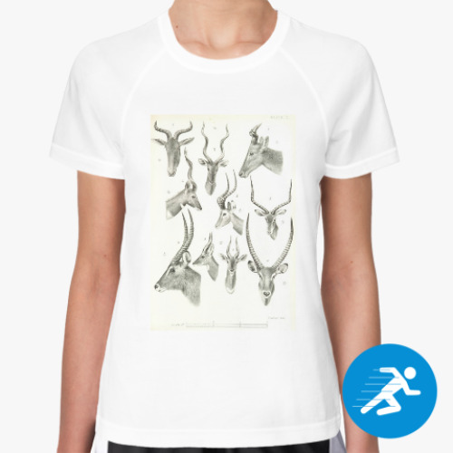 Женская спортивная футболка Антилопы из зоологического атласа