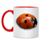 Полети на небко