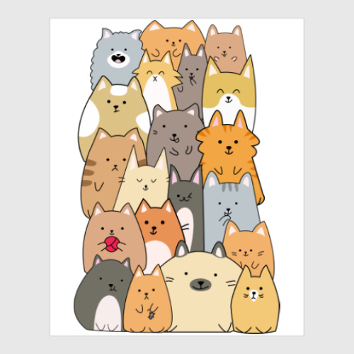 Постер Смешные коты (funny cats)