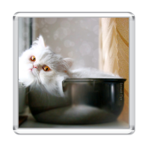 Магнит  'Белый Перс'