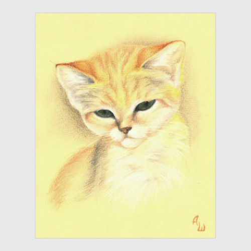 Постер с принтом Барханная кошка