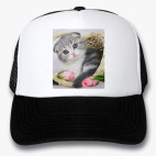 Кепки Trucker