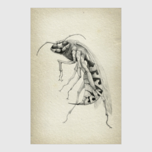 Постер Wasp