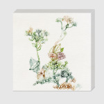 Акварельные цветы