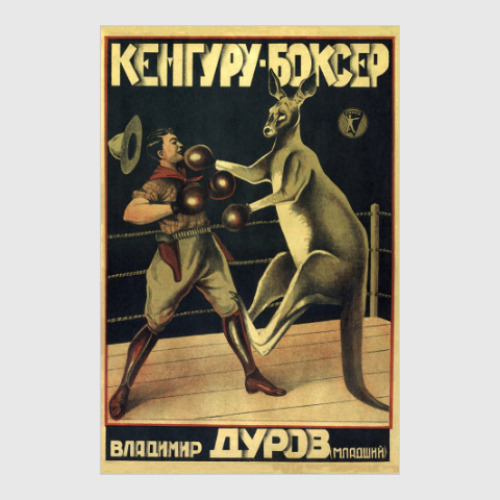 Постер Кенгуру-боксер