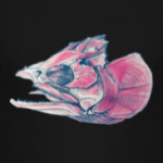 голова рыбы