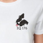 бордер колли