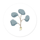 арт растение