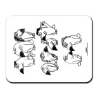 «5-тый сезон»