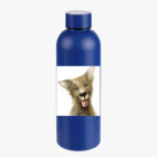 Термобутылка