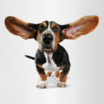 Собака Длинные уши
