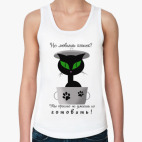 Не любишь кошек?