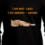 Я не ленивый, я энергосберегающий. Смешной кот.