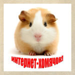 Интернет-хомячок
