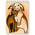 Кот и зайка