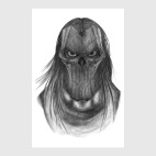 Всадник Апокалипсиса