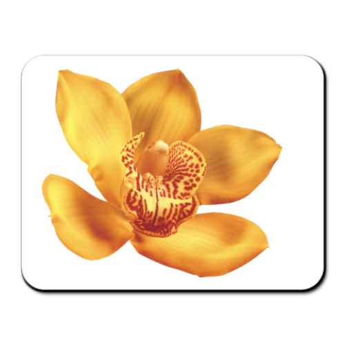 Коврик для мыши с принтом Орхидея