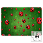 Божьи коровки