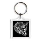 Летучая мышь