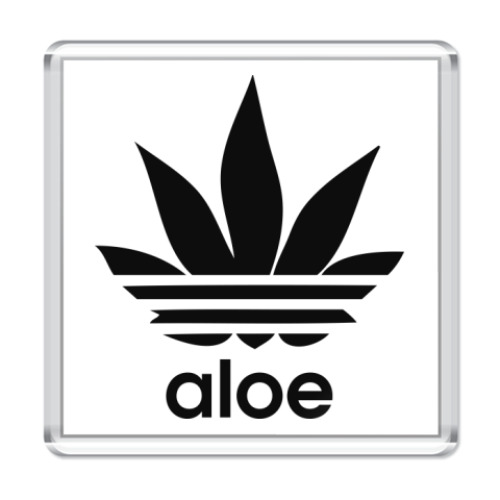 Магнит  aloe