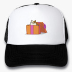 Кепки Trucker