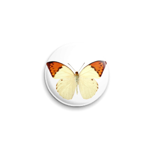 Значок 25мм с принтом  Бабочка