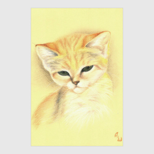 Постер Барханная кошка