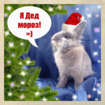 Я дед мороз!