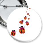 Божьи коровки