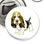  Бассет-хаунд