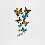 Полёт бабочки