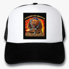 Кепки Trucker