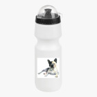 Велобутылка