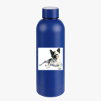 Термобутылка