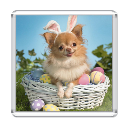 Магнит с принтом Щенок