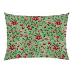 КЛЮКВА НА БОЛОТЕ