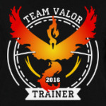 Покемоны. Team Valor