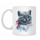 Шотландский котик