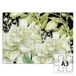 Нежный цветок