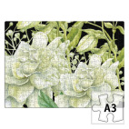 Нежный цветок