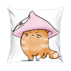 Кот Мягкот, рыжий живот!