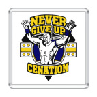 WWE John Сena Never give up