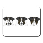 Собака Самбики-сару