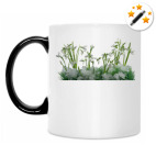 Кружка-хамелеон