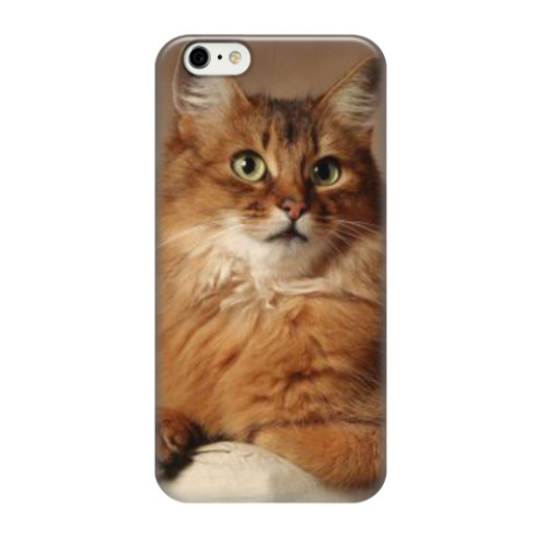 Чехол для iPhone 6/6s Удивленный взгляд рыжего кота